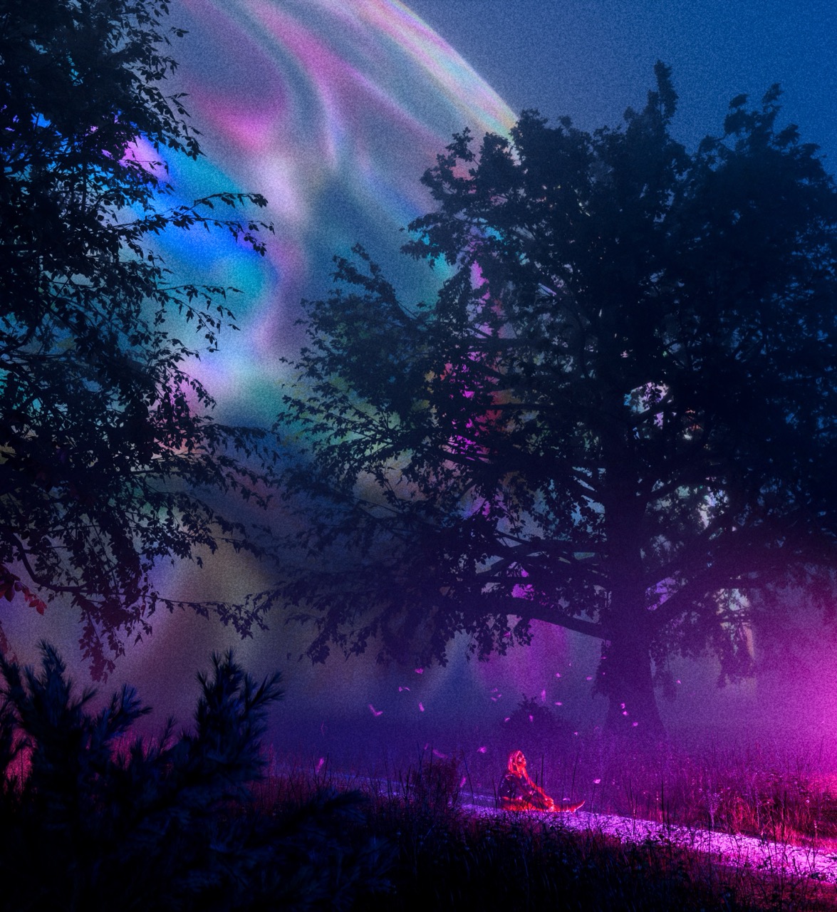 ForestScary8 - Grande