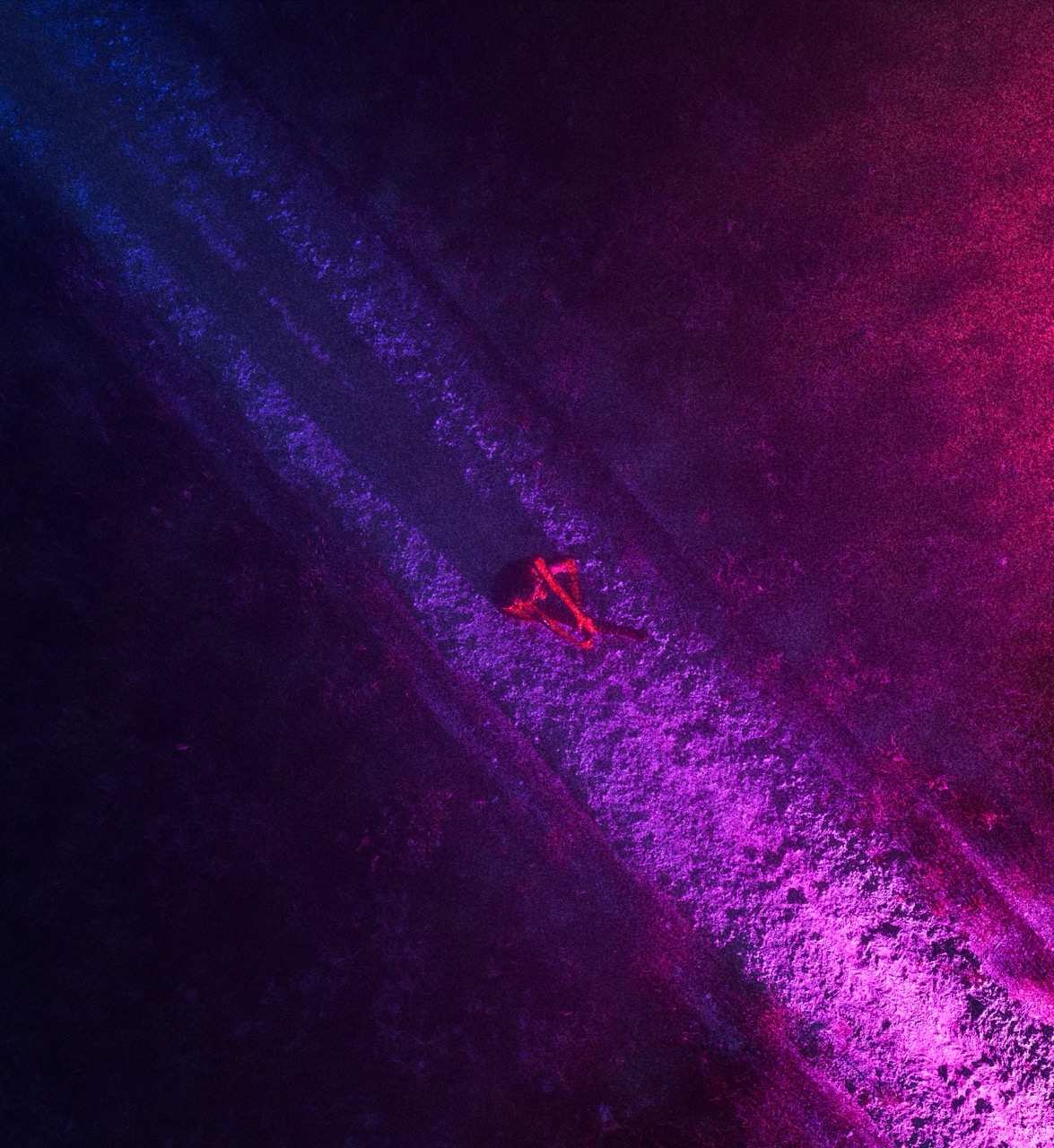 ForestScary9 - Grande